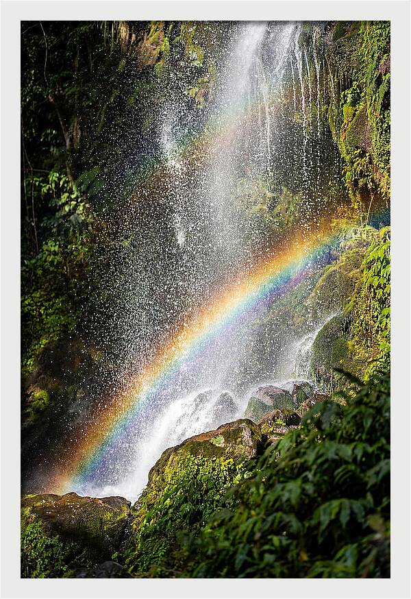 Weather Rainbow Spray