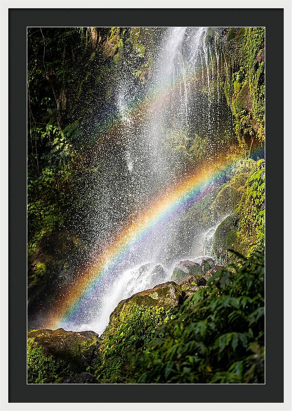 Weather Rainbow Spray