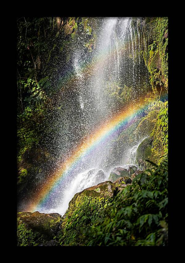 Weather Rainbow Spray