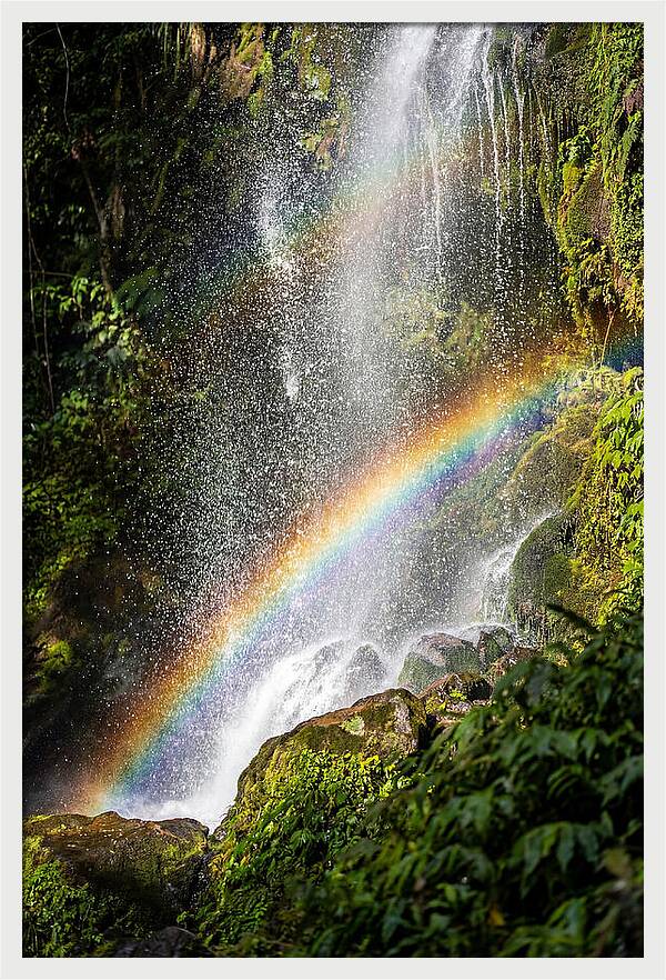 Weather Rainbow Spray