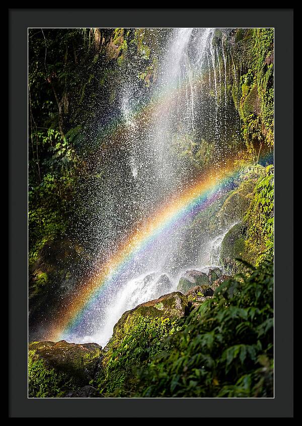 Weather Rainbow Spray