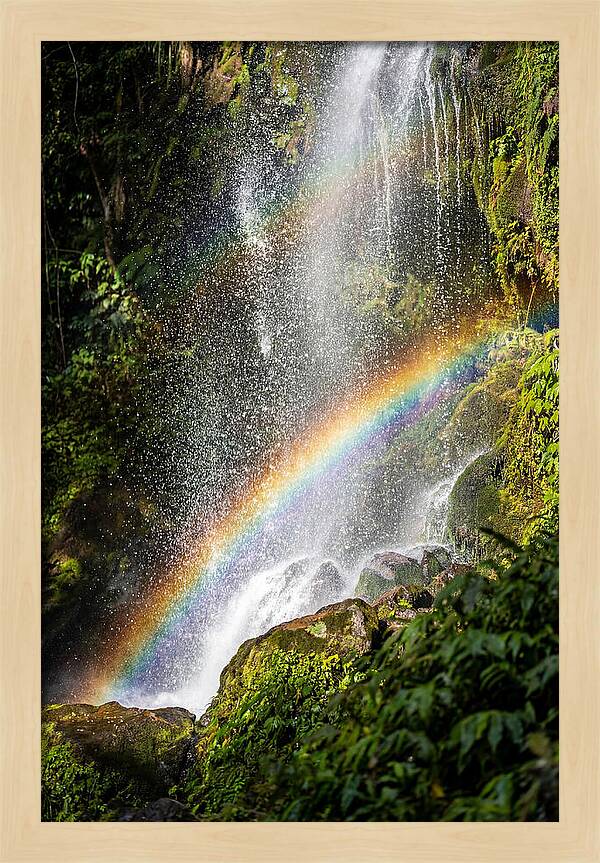 Weather Rainbow Spray