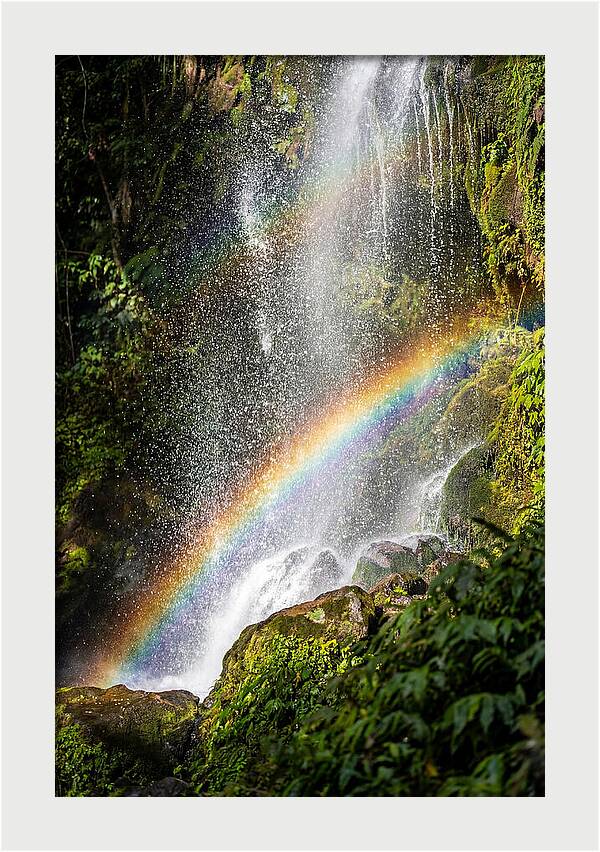 Weather Rainbow Spray
