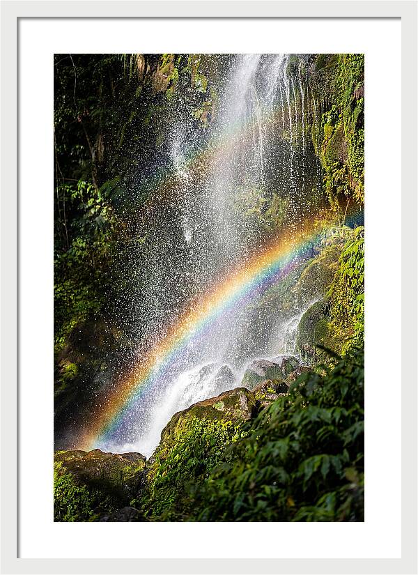 Weather Rainbow Spray