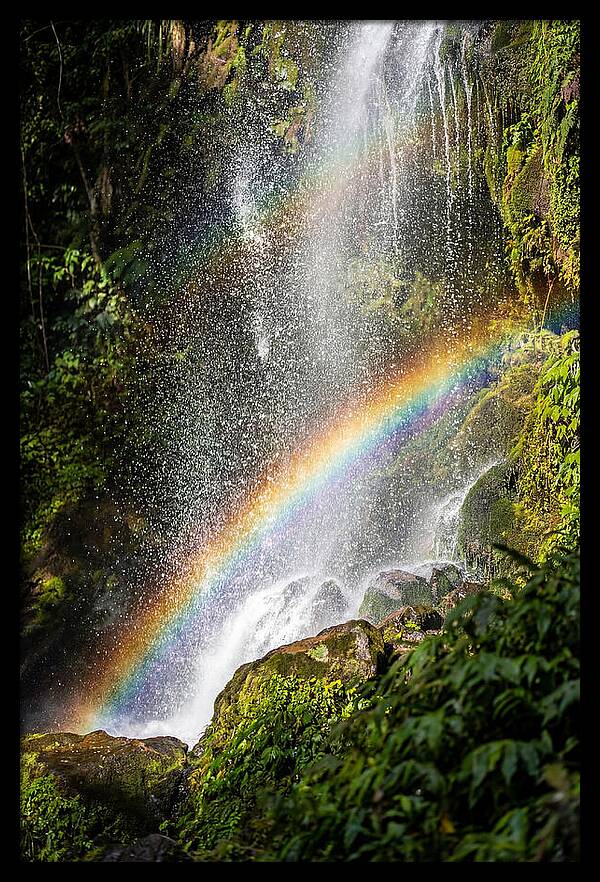 Weather Rainbow Spray