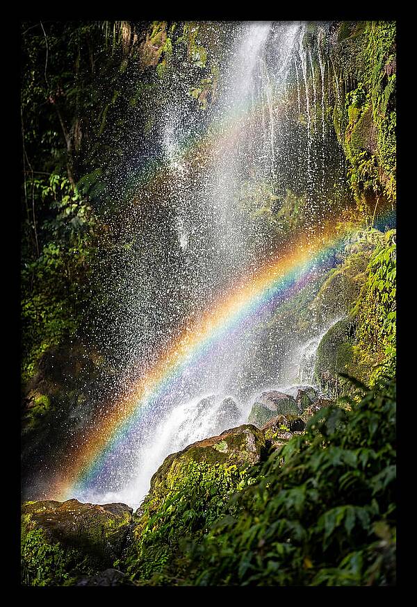 Weather Rainbow Spray