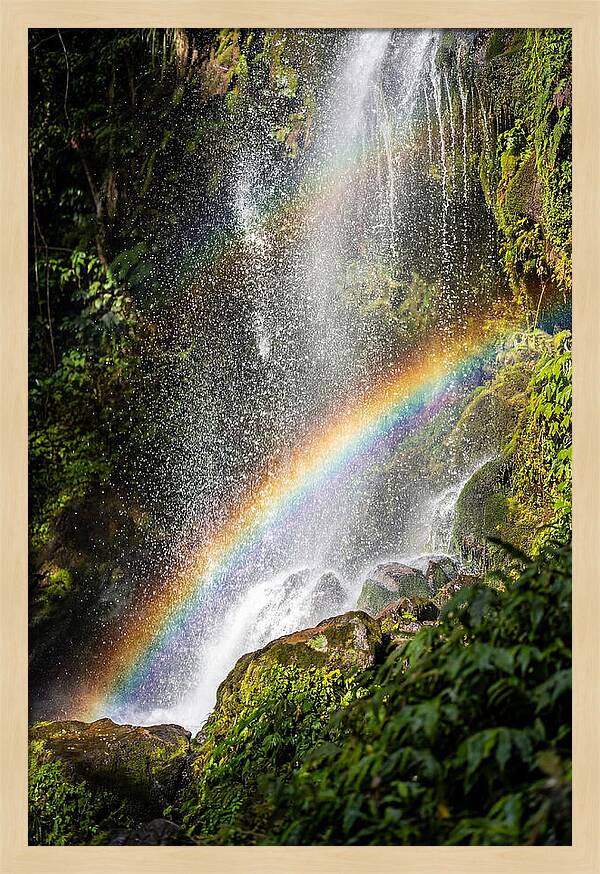 Weather Rainbow Spray