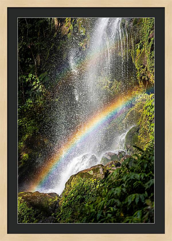 Weather Rainbow Spray