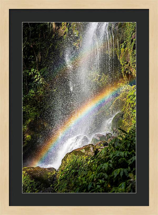 Weather Rainbow Spray