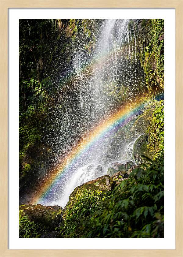 Weather Rainbow Spray