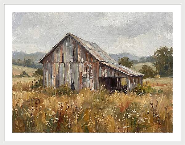 Weathered Barn In Nature
