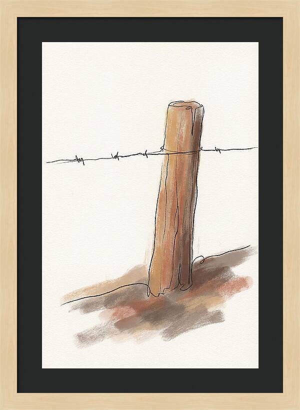 Weathered Fence Post