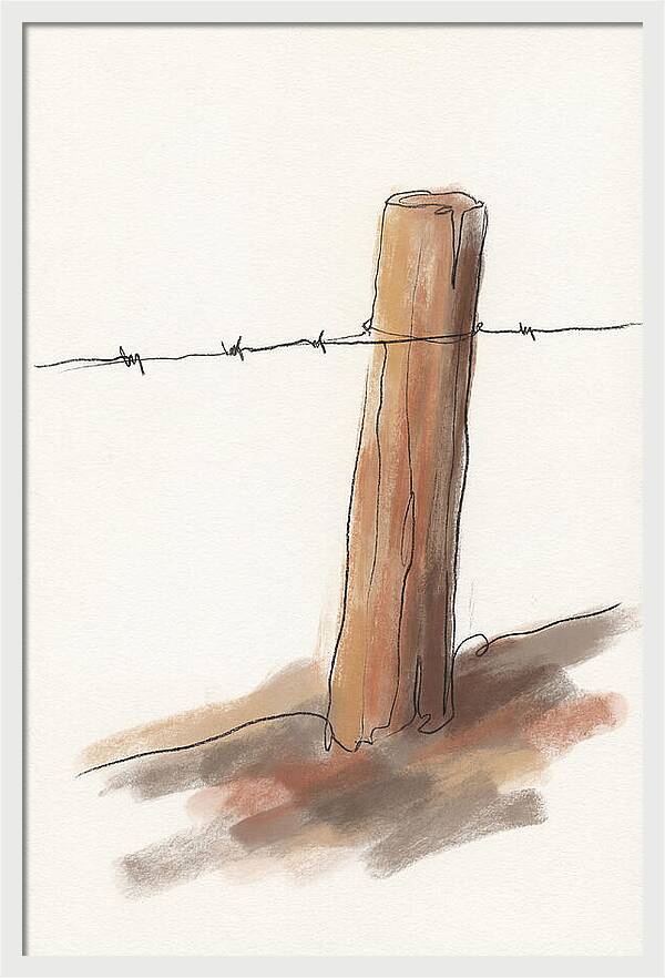 Weathered Fence Post