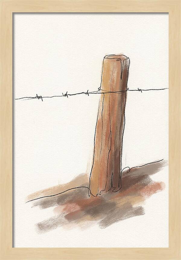 Weathered Fence Post