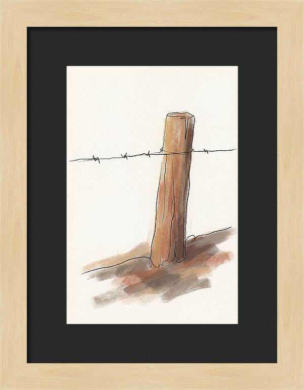 Weathered Fence Post