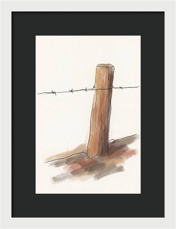 Weathered Fence Post