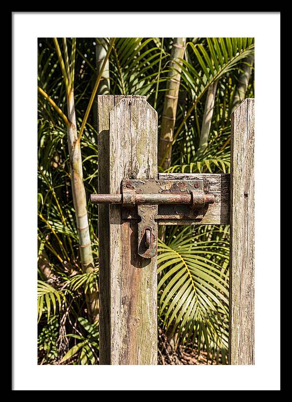 Weathered Gate Latch