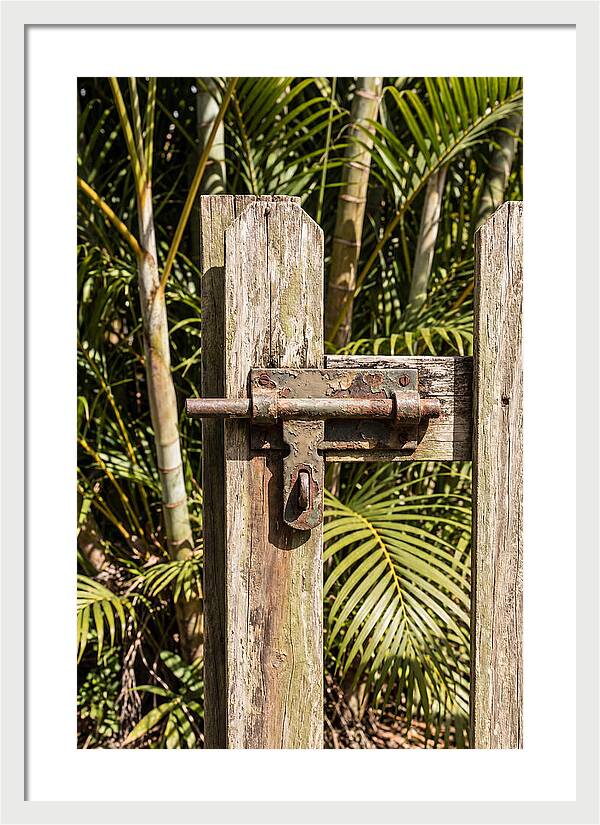 Weathered Gate Latch