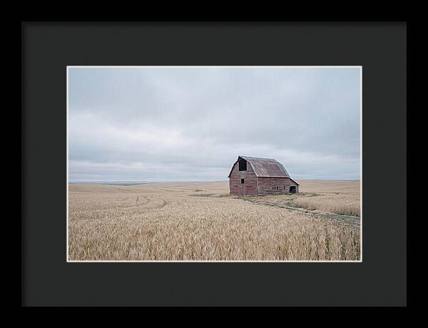 Weathered Red Barn In Golden Field