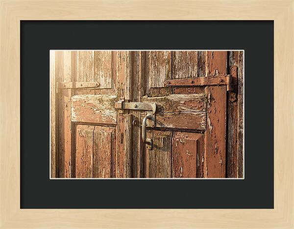 Weathered Toolshed Door