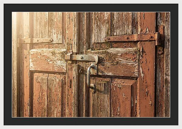 Weathered Toolshed Door