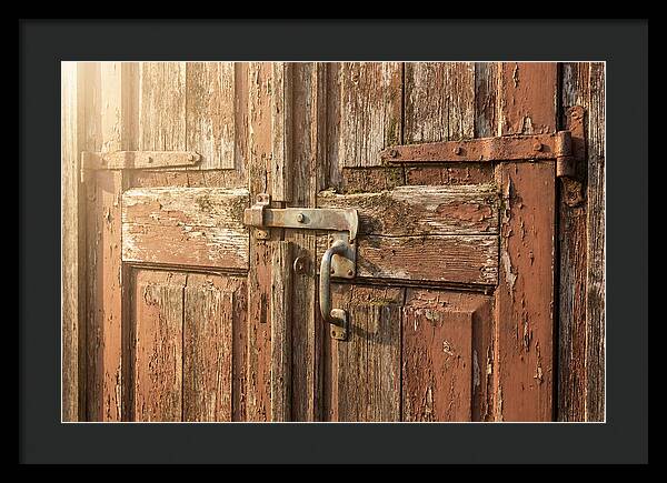 Weathered Toolshed Door