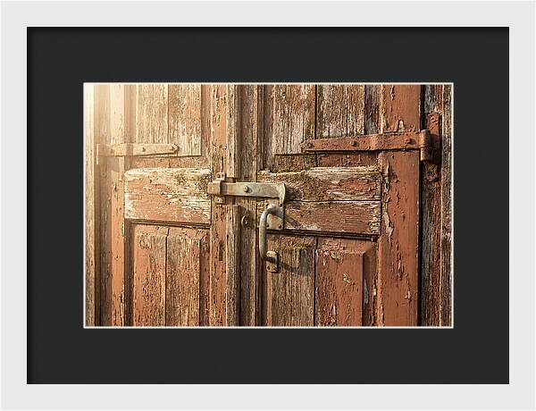 Weathered Toolshed Door