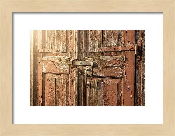 Weathered Toolshed Door