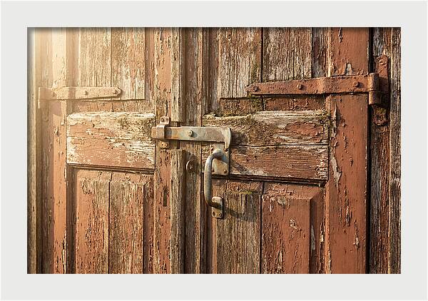 Weathered Toolshed Door