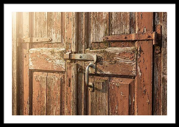 Weathered Toolshed Door