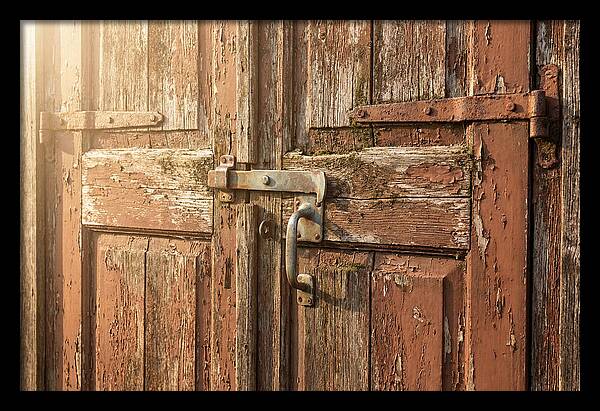 Weathered Toolshed Door