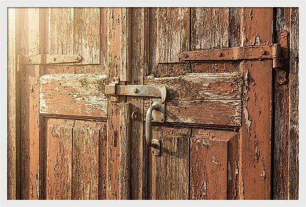 Weathered Toolshed Door