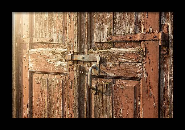 Weathered Toolshed Door