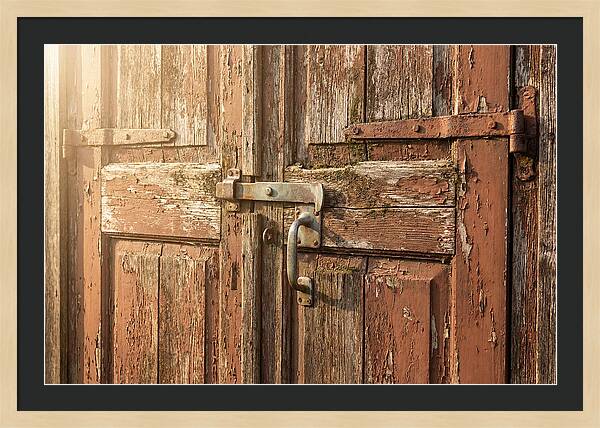 Weathered Toolshed Door