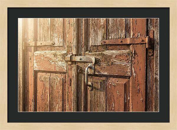 Weathered Toolshed Door
