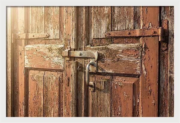 Weathered Toolshed Door