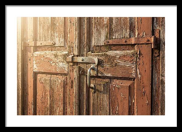 Weathered Toolshed Door