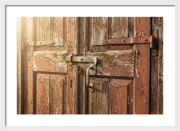 Weathered Toolshed Door