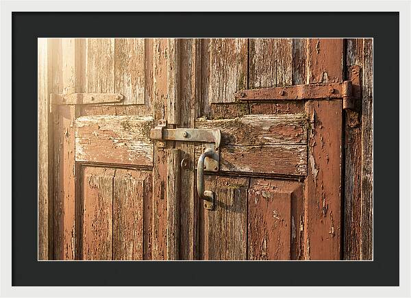 Weathered Toolshed Door