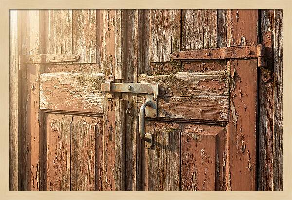 Weathered Toolshed Door