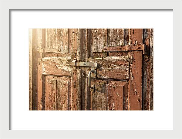 Weathered Toolshed Door