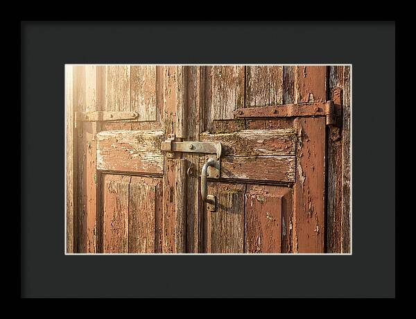 Weathered Toolshed Door