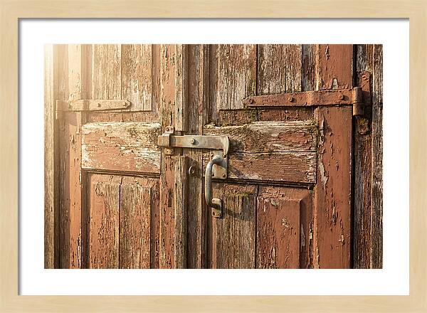Weathered Toolshed Door