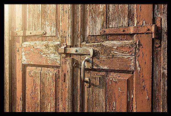 Weathered Toolshed Door