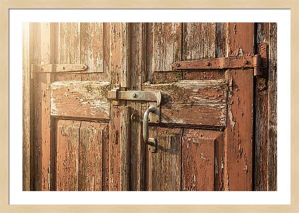 Weathered Toolshed Door