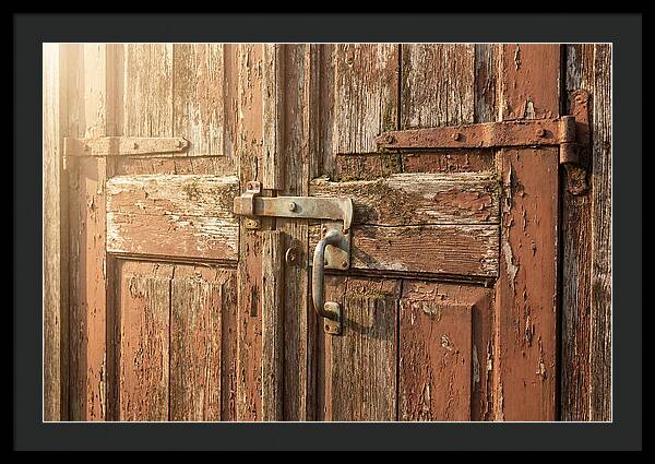 Weathered Toolshed Door