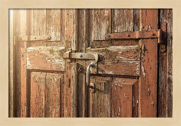 Weathered Toolshed Door