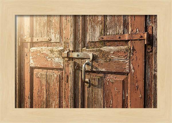 Weathered Toolshed Door