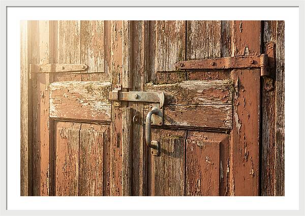 Weathered Toolshed Door