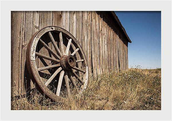 Weathered Wagon Wheel Against Barn